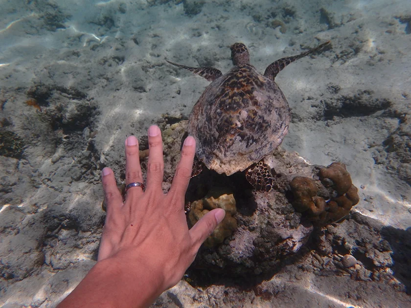 [インドネシアのパリピ秘境・ギリ島旅行記46] トラワンガン島北部の海をビーチからシュノーケルしてみる。