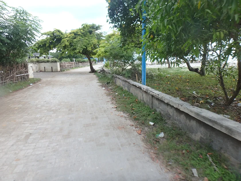 [インドネシアのパリピ秘境・ギリ島旅行記48] 東南アジアで定番の虫よけクリームを買いに行く。