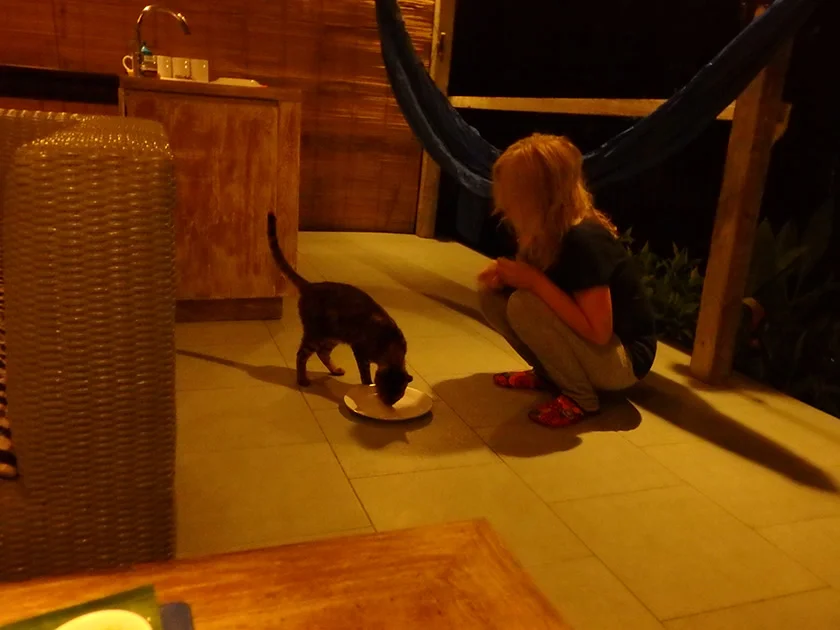 [インドネシアのパリピ秘境・ギリ島旅行記49] スコール発生。ミヅキは夕食後にダウン、、、。