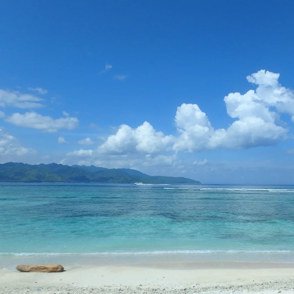 [インドネシアのパリピ秘境・ギリ島旅行記55] ギリ・トラワンガン島・自転車トリップ再び♪