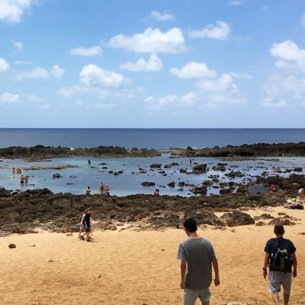 [エアアジアで行く激安ハワイ旅行記30] シャークスコーヴ。その海の中。