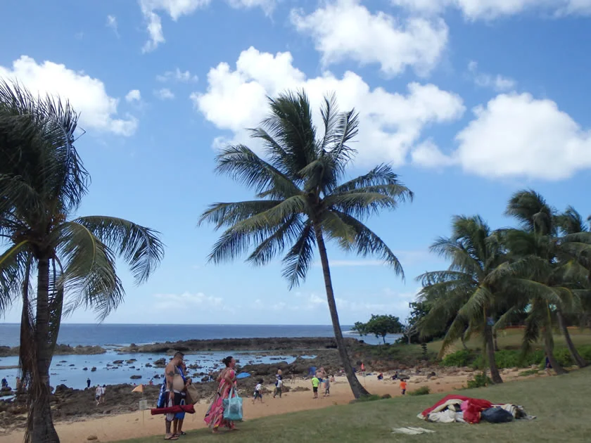 【LCCエアアジアでハワイ！初就航便で格安ハワイ旅行記 ブログ 30】シャークスコーヴ。その海の中。