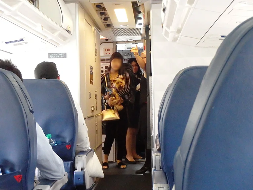 [片道1万円！？激安サンフランシスコ旅行記13] デルタ航空・アメリカ国内線の搭乗記レポート。フライト1時間でも軽食が出てくる!
