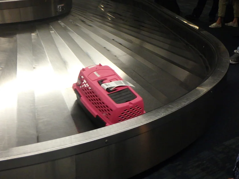 [片道1万円！？激安サンフランシスコ旅行記14] サンフランシスコ国際空港に到着。