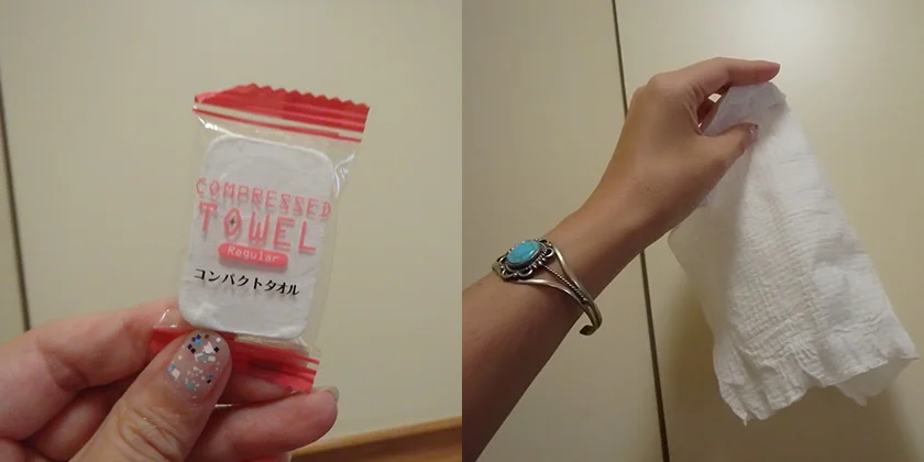 [片道1万円！？激安サンフランシスコ旅行記42] スイカ食ってサンフランシスコ・プレミアムアウトレット(旧:リバモア・プレミアム・アウトレット)へGO!