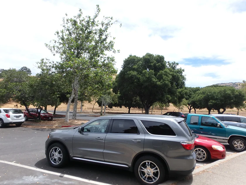 [片道1万円！？激安サンフランシスコ旅行記50] Del Valle Regional Park - デル・ヴァジェ・リージョナル・パーク