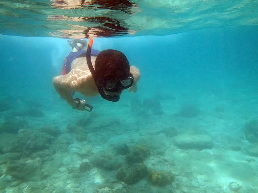 [タイの秘境・ピピ島とプーケットを巡る旅行記31] シュノーケルで見えるピピ島の海の中。