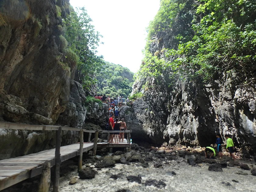 [タイの秘境・ピピ島とプーケットを巡る旅行記34] ピピ・レイ島のマヤベイの反対側にはローサマベイがあるらしい。が
