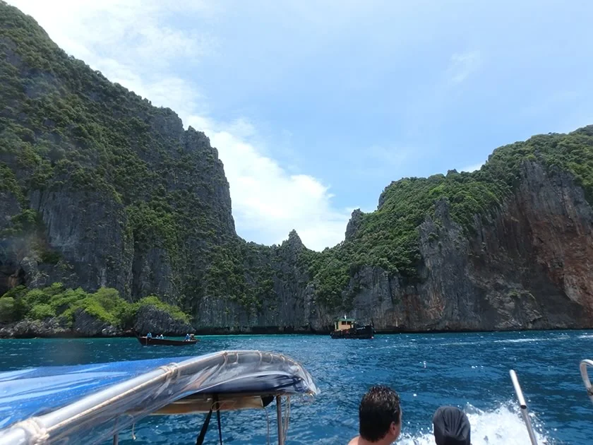 [タイの秘境・ピピ島とプーケットを巡る旅行記37] ピピ島のサル達がバナナ目当てに寄ってきた！近っ！