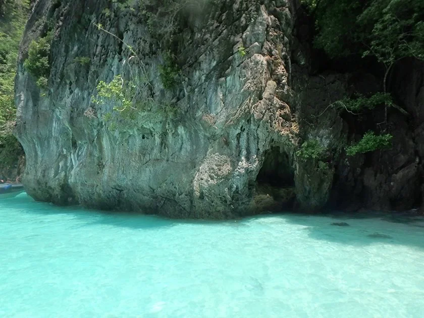 [タイの秘境・ピピ島とプーケットを巡る旅行記37] ピピ島のサル達がバナナ目当てに寄ってきた！近っ！
