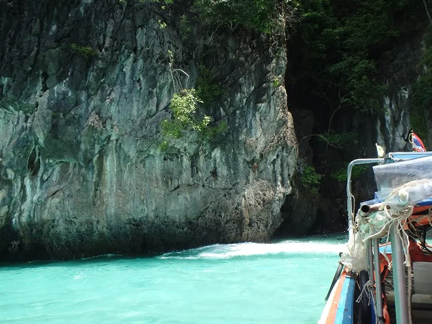 [タイの秘境・ピピ島とプーケットを巡る旅行記37] ピピ島のサル達がバナナ目当てに寄ってきた！近っ！