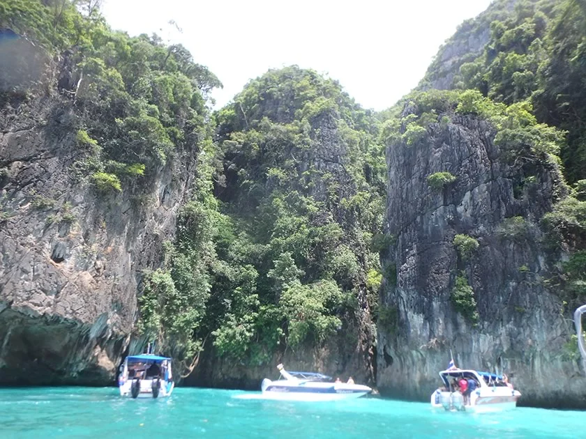 [タイの秘境・ピピ島とプーケットを巡る旅行記37] ピピ島のサル達がバナナ目当てに寄ってきた！近っ！