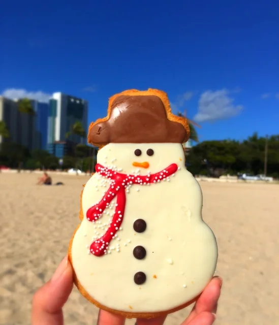 【緊急!格安航空券情報】今年のクリスマスはハワイで過ごす??ホノルル行きが39800円!