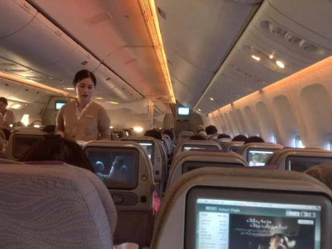 [エミレーツ航空で往復1.9万円！爆安フランス・パリ旅行記12] エミレーツ航空・ドバイ行きEK313便の機内食。え！？チキン売り切れちゃったの？（涙）