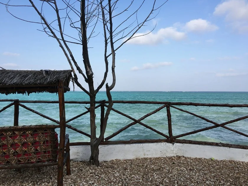 【海外旅行LIVE | 18年1月2日】ザンジバルのビーチリゾート