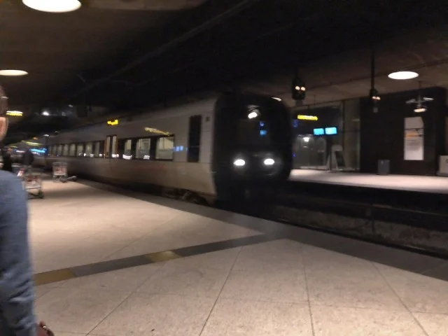 [北欧とアフリカを巡る年末年始の冒険旅行記：北欧編27] マルメ行きの電車のターミナルってここで合ってるよね？（汗）