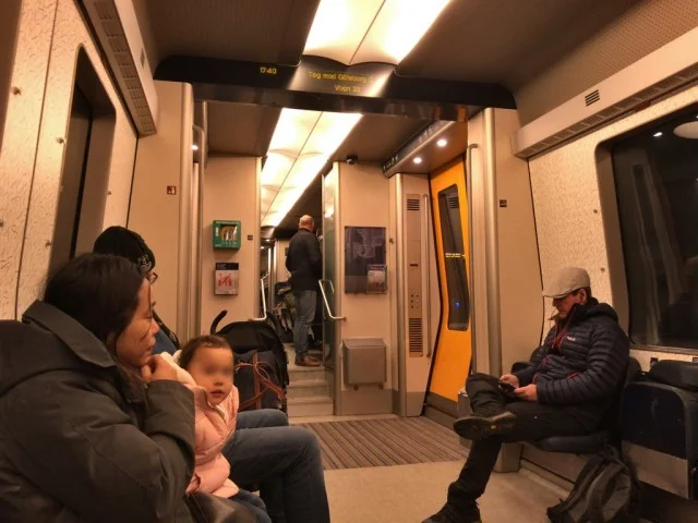 [北欧とアフリカを巡る年末年始の冒険旅行記：北欧編28] 人生初めての列車で国境越え。パスポートチェックでつまみ出されてる人も。。。