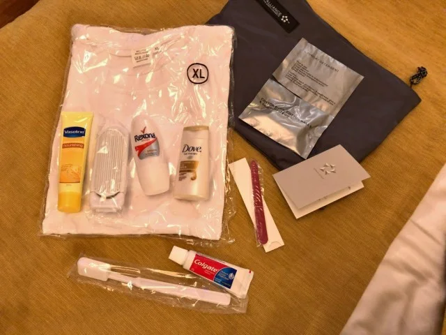 [北欧とアフリカを巡る年末年始の冒険旅行記：北欧編30] クラリオンコレクション ホテル - テンペランス