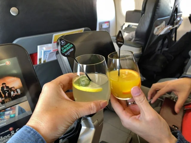 ターキッシュエアラインズ A321 ビジネスクラス イスタンブール⇔ウィーン / 搭乗記