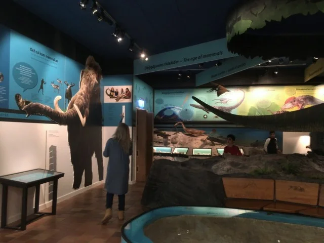 [北欧とアフリカを巡る年末年始の冒険旅行記：北欧編38] マルモのお城はミュージアムだけじゃなくて博物館と水族館にもなっていた。どんだけ欲張りやねんｗ