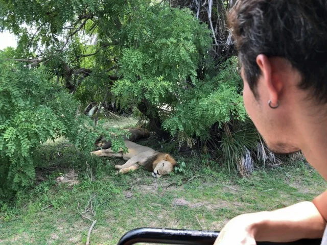 [北欧とアフリカを巡る年末年始の冒険旅行記：北欧編38] マルモのお城はミュージアムだけじゃなくて博物館と水族館にもなっていた。どんだけ欲張りやねんｗ