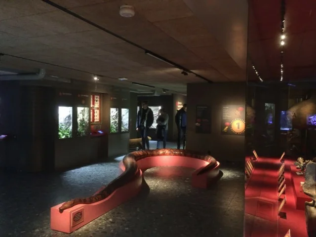 [北欧とアフリカを巡る年末年始の冒険旅行記：北欧編38] マルモのお城はミュージアムだけじゃなくて博物館と水族館にもなっていた。どんだけ欲張りやねんｗ