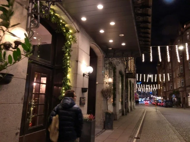 [北欧とアフリカを巡る年末年始の冒険旅行記：北欧編42] マルメ最後の夜のディナー