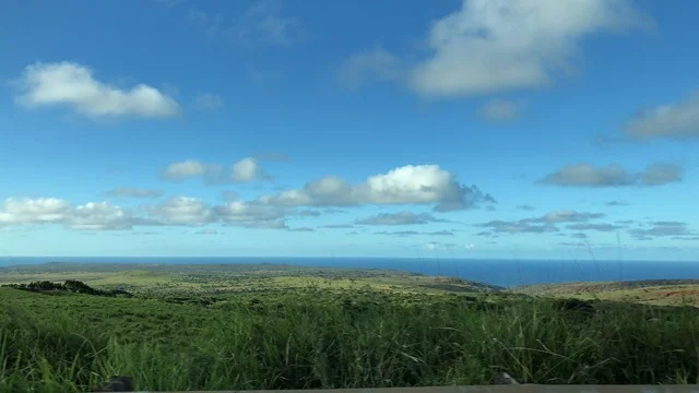 【ポケモンGO】イルミーゼをゲット！見つけた場所 イルミーゼの故郷・ハワイ モロカイ島を紹介！[アローラ地方]