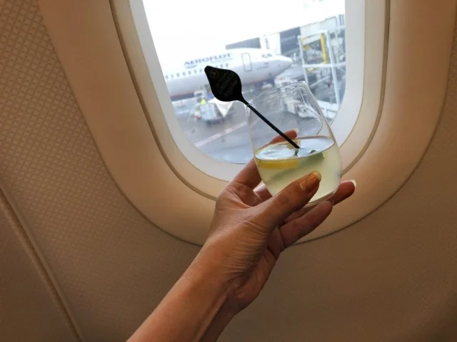 [北欧とアフリカを巡る年末年始の冒険旅行記：サファリ編5] ブリュッセルからイスタンブールへ。やっぱりターキッシュエアラインズのビジネスクラスは短距離でもすごい！