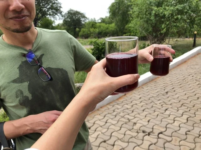 [北欧とアフリカを巡る年末年始の冒険旅行記：サファリ編18] Africa Safari Camp - アフリカサファリキャンプへようこそ！