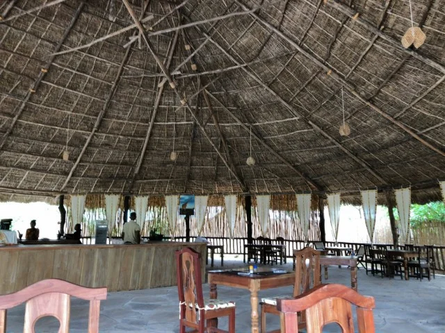 [北欧とアフリカを巡る年末年始の冒険旅行記：サファリ編18] Africa Safari Camp - アフリカサファリキャンプへようこそ！