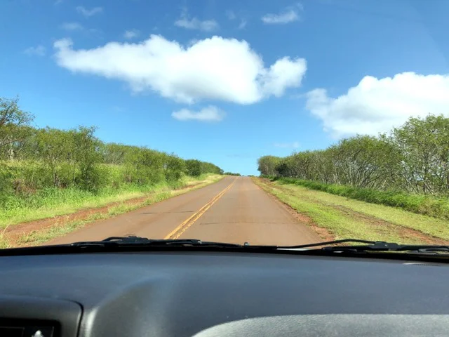 [ハワイ最後の楽園「モロカイ島」旅行記20] モリオ、はじめてのミニバン運転で「カプアイワ ココナツ グローブ」!