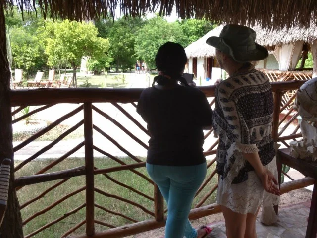 [北欧とアフリカを巡る年末年始の冒険旅行記：サファリ編21] マサイ族とアフリカサファリキャンプのバオバブの木
