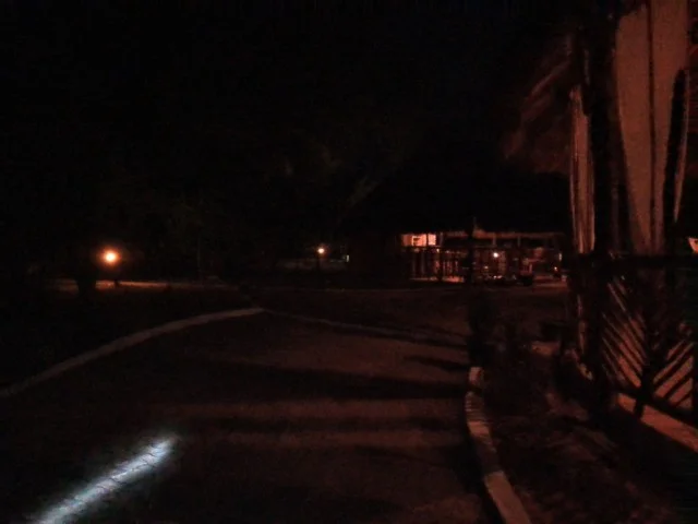 [北欧とアフリカを巡る年末年始の冒険旅行記：サファリ編23] ヤバい！サソリが出た！！え？どこ！？（汗）
