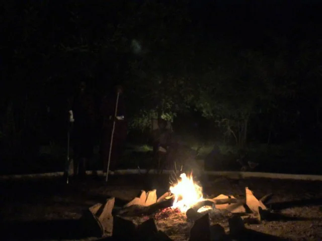 [北欧とアフリカを巡る年末年始の冒険旅行記：サファリ編23] ヤバい！サソリが出た！！え？どこ！？（汗）