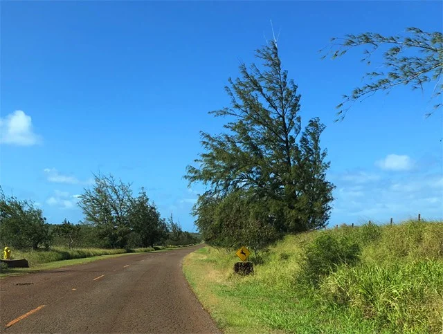 [ハワイ最後の楽園「モロカイ島」旅行記24] モロカイ島の西側カルアコイは驚くほどの絶景！