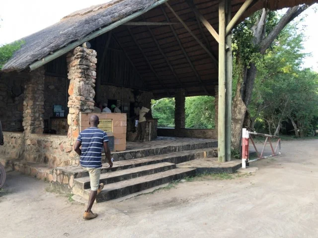 [北欧とアフリカを巡る年末年始の冒険旅行記：サファリ編26] サファリ開始早々、いきなりキリンが現れる。
