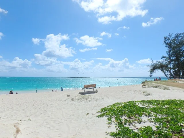はじめてのハワイ旅行 4：海外旅行保険に入ってないとヤバいかも