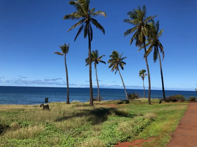 ハワイ旅行のベストシーズンはいつ？年間気温＆天気データ徹底検証