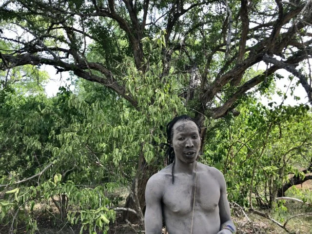 [北欧とアフリカを巡る年末年始の冒険旅行記：サファリ編39] 本物の黒檀（エボニー）の木。