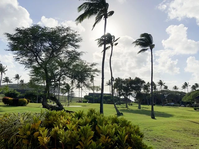 [ハワイ最後の楽園「モロカイ島」旅行記29] モロカイ島の西側ケプヒ・ビーチの様子