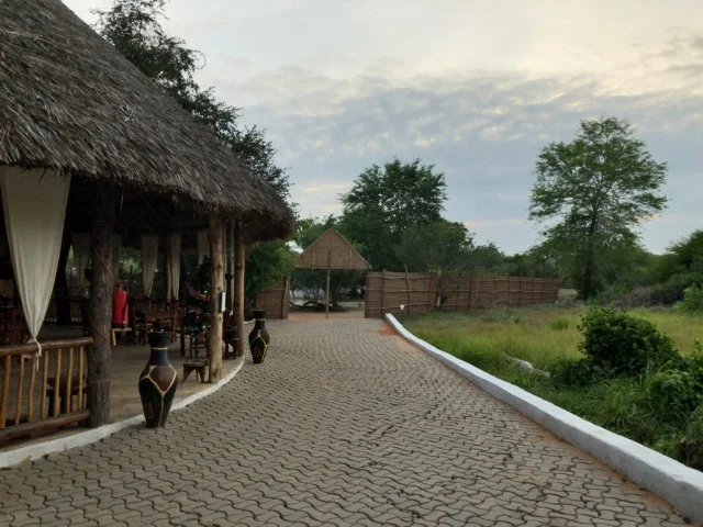 [北欧とアフリカを巡る年末年始の冒険旅行記：サファリ編45] あけましておめでとうございます＠アフリカ