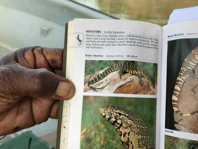 [北欧とアフリカを巡る年末年始の冒険旅行記：サファリ編47] 年季の入った宝物のサファリガイドブック