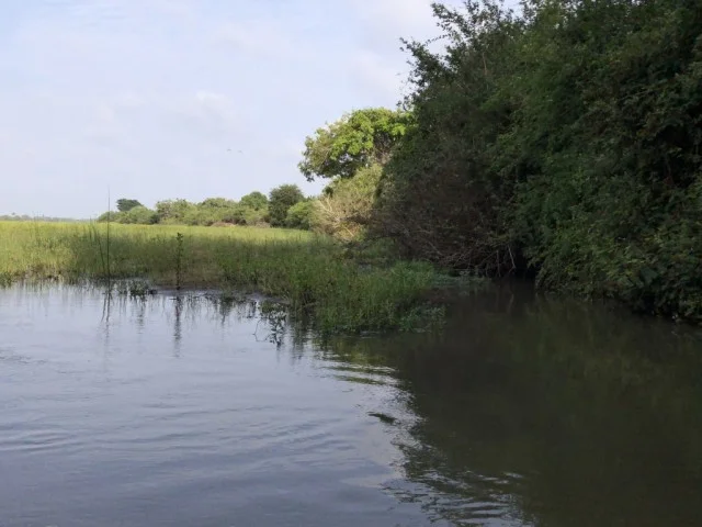 [北欧とアフリカを巡る年末年始の冒険旅行記：サファリ編48] セルー動物保護区の入り口