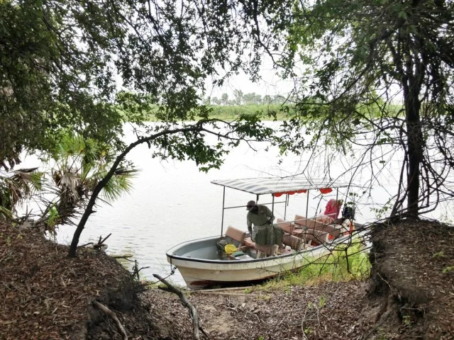 [北欧とアフリカを巡る年末年始の冒険旅行記：サファリ編51] 藪の奥からカバの鳴き声（汗）そこに居るんちゃうん？