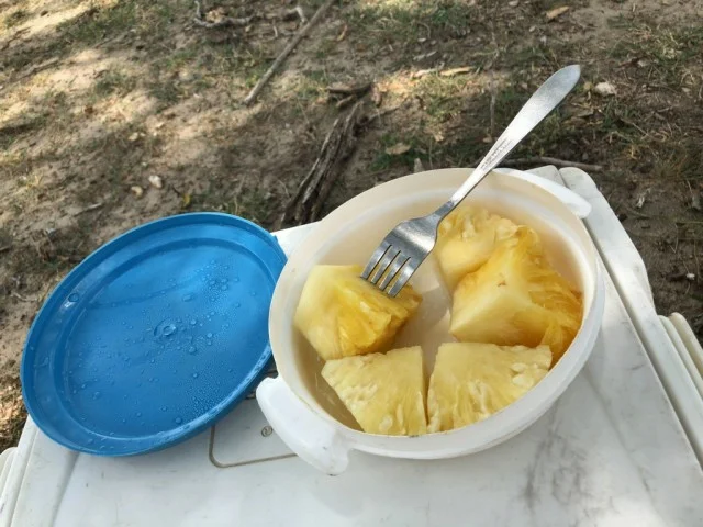 [北欧とアフリカを巡る年末年始の冒険旅行記：サファリ編54] 川辺で食べるサファリのランチメニュー