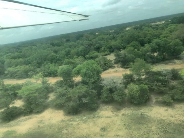 [北欧とアフリカを巡る年末年始の冒険旅行記：サファリ編59] 夢の様なサファリライフを終えて、再びダルエスサラームへ。