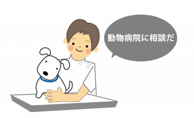 ワクチン打たなくても泊まれるペットホテルってあるの？