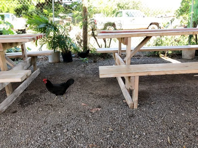 [ハワイ最後の楽園「モロカイ島」旅行記42] モロカイ島のガーリックシュリンプ【格安でハワイの離島・モロカイ島 旅行記 ブログ | スクート＆ハワイアン航空 42】