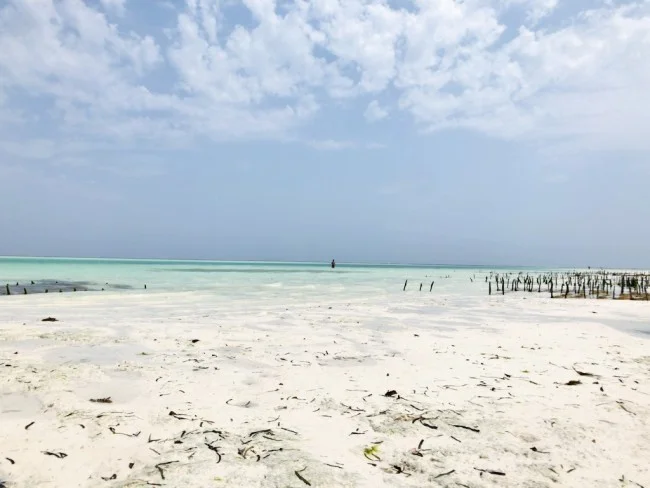 [北欧とアフリカを巡る年末年始の冒険旅行記：ザンジバルビーチ編23] シュノーケルしようとしたら、、、足がつる。ピンチ（汗）